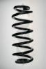 SPIDAN 56877 Coil Spring